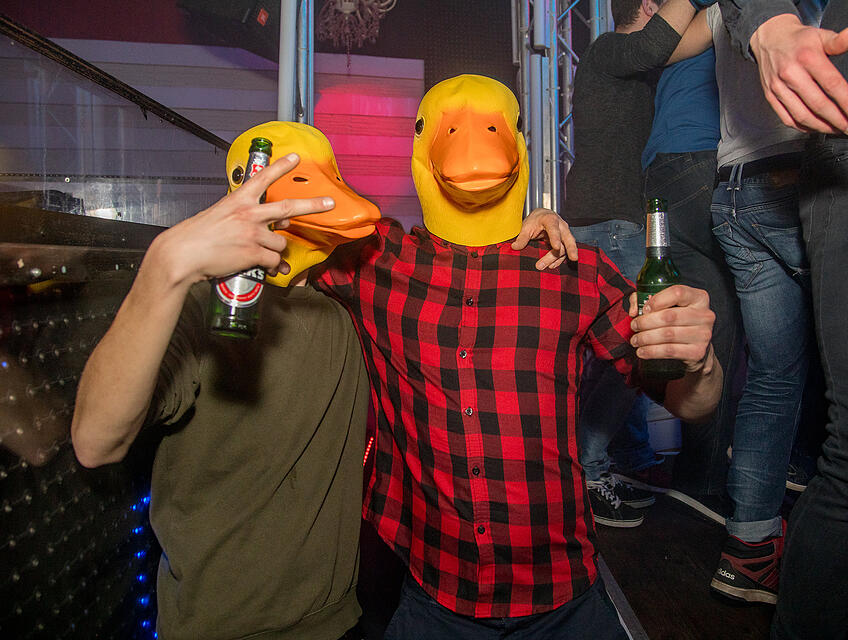 Ingo ohne Flamingo