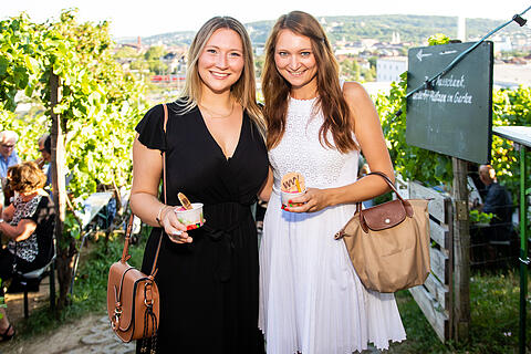 Wein am Stein