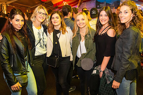 Weinfest Untereisenheim