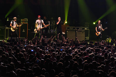 Punk in Drublic