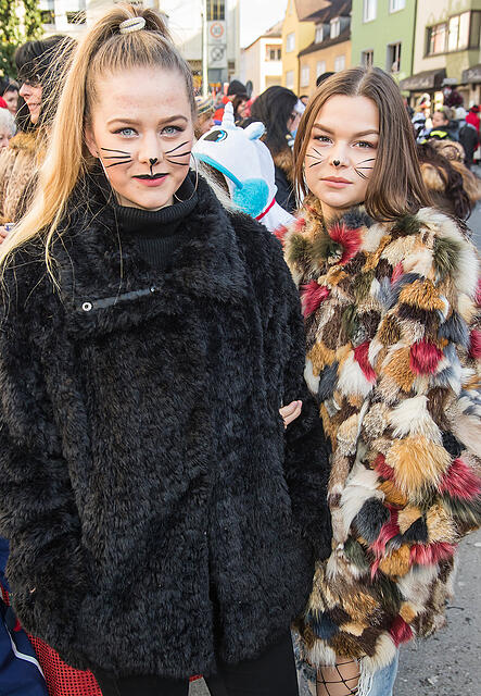 Faschingszug Heidingsfeld Teil 2