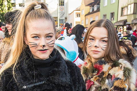 Faschingszug Heidingsfeld Teil 2