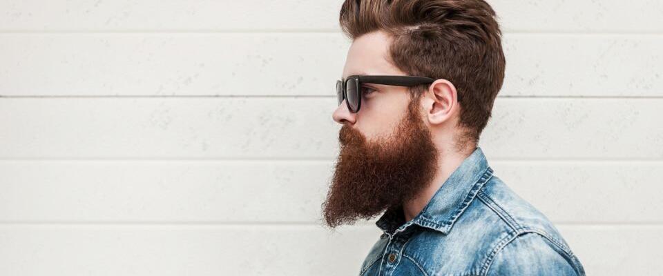 Vollbart / Hipster