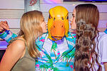 Ingo ohne Flamingo