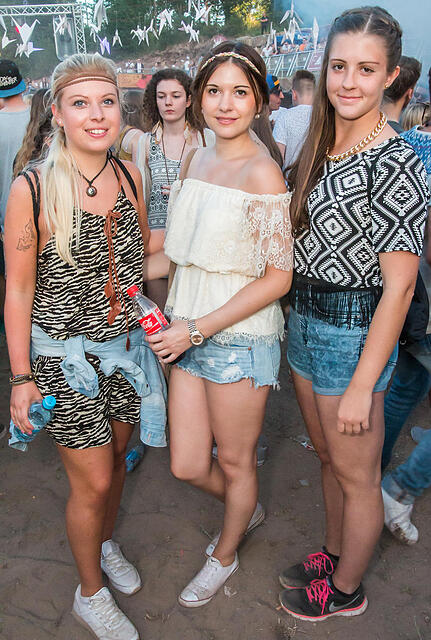 Traumsafari Festival