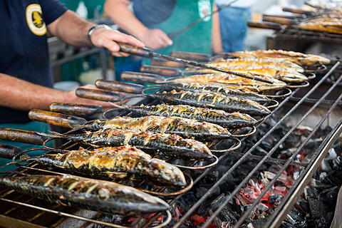 Rakoczy Fest Sonntag