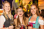 Weinfest Untereisenheim