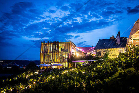Wein am Stein