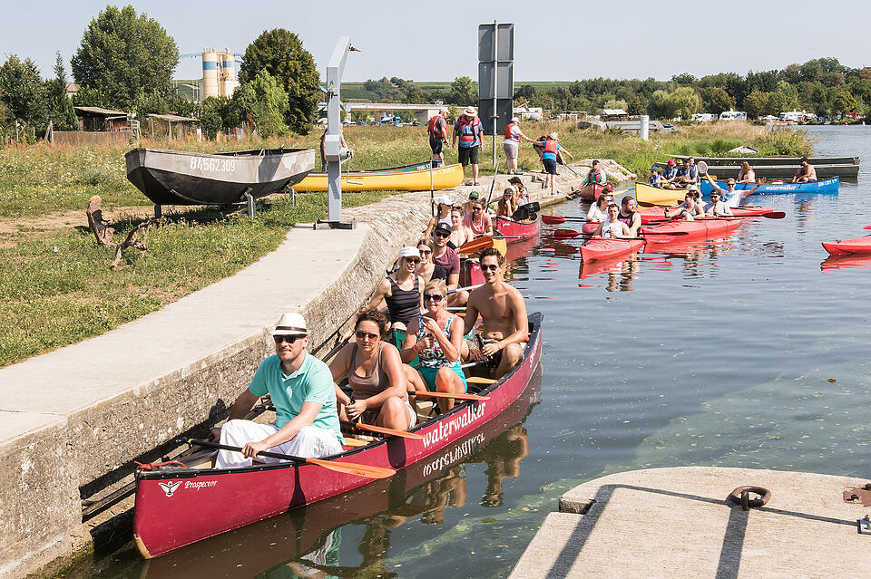 Sommer in Mainfranken