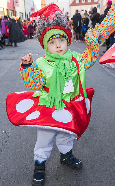 Faschingszug Heidingsfeld Teil 2