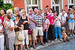 Festzug Volkacher Weinfest