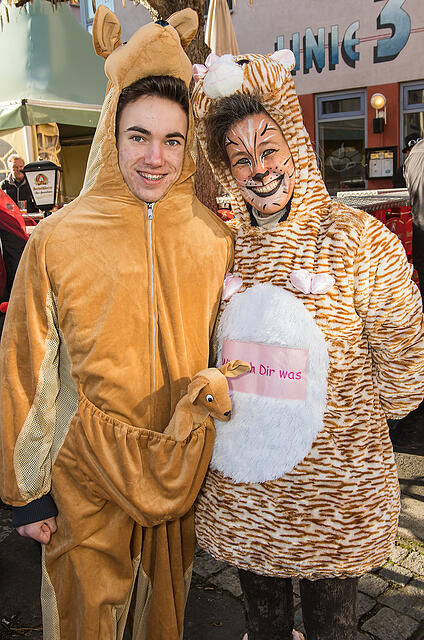 Faschingszug Heidingsfeld Teil 2
