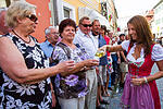 Festzug Volkacher Weinfest