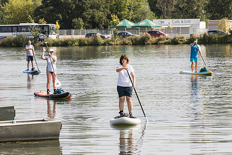 Sommer in Mainfranken