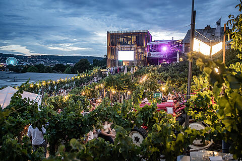 Wein am Stein Mittwoch