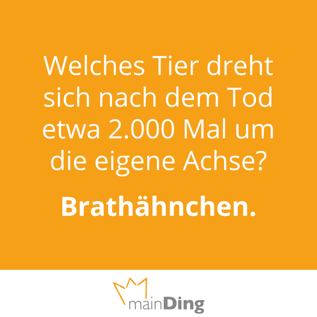 VOTING: Die d&uuml;mmsten Spr&uuml;che der vierten Maiwoche