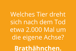 VOTING: Die d&uuml;mmsten Spr&uuml;che der vierten Maiwoche