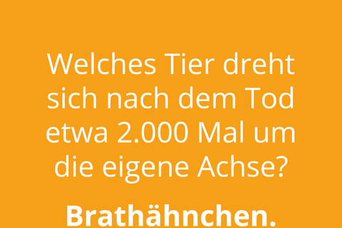 VOTING: Die d&uuml;mmsten Spr&uuml;che der vierten Maiwoche