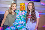 Ingo ohne Flamingo