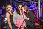 Ingo ohne Flamingo