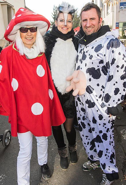 Faschingszug Heidingsfeld Teil 2