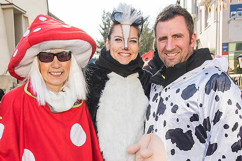 Faschingszug Heidingsfeld Teil 2