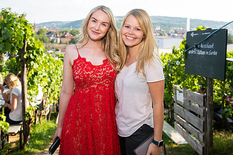 Wein am Stein