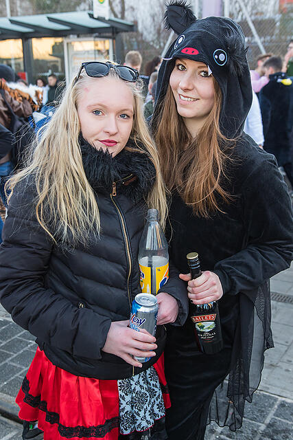 Faschingszug Heidingsfeld Teil 2