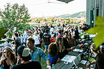 Weinfest am Stein