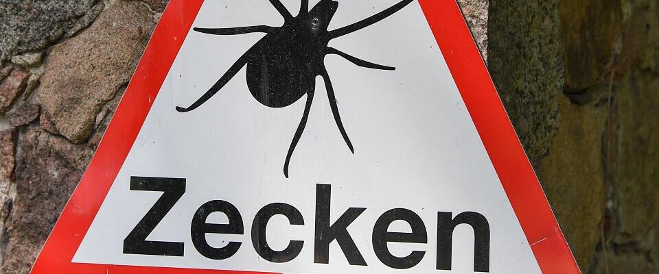 Forscher warnt: Zecken durch milde Winter ganzjährig aktiv