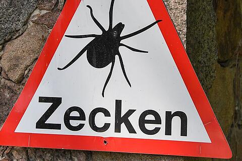 Forscher warnt: Zecken durch milde Winter ganzjährig aktiv