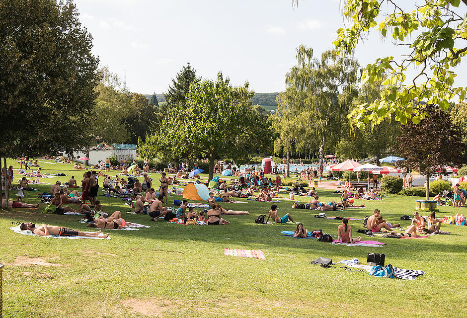 Sommer in Mainfranken