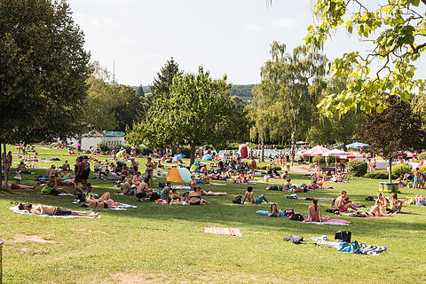 Sommer in Mainfranken