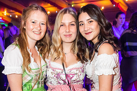 Weinfest Untereisenheim