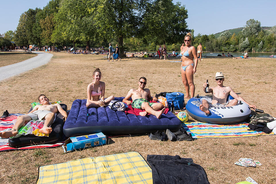 Sommer in Mainfranken