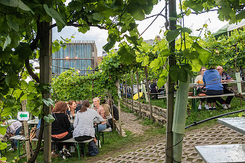 Wein am Stein Lounge
