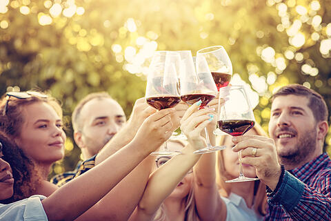Young multi-ethnic friends having fun in a vineyard tour - Outdoar Hand Toasting of red wine before the sunset in autumn during the harvest time