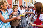 Festzug Volkacher Weinfest