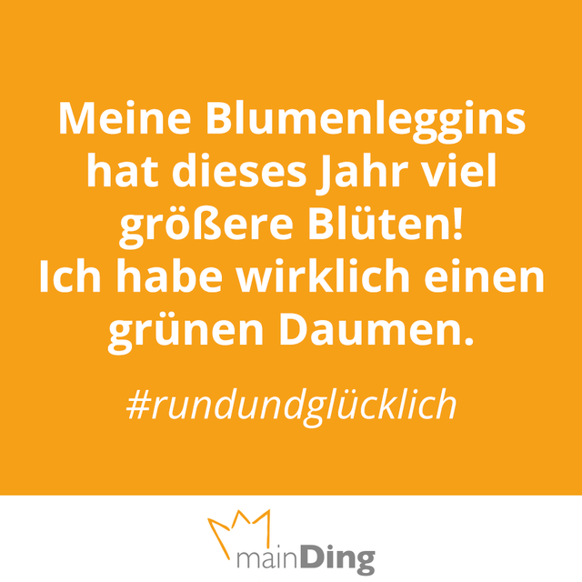 VOTING: Die dümmsten Sprüche der vierten Maiwoche
