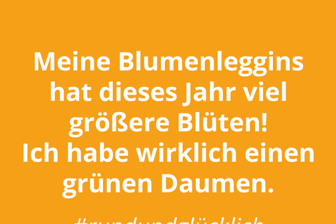 VOTING: Die d&uuml;mmsten Spr&uuml;che der vierten Maiwoche