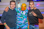 Ingo ohne Flamingo