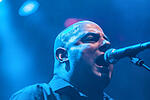Broilers