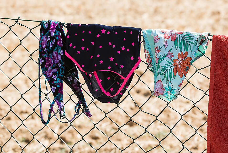 Sommer in Mainfranken