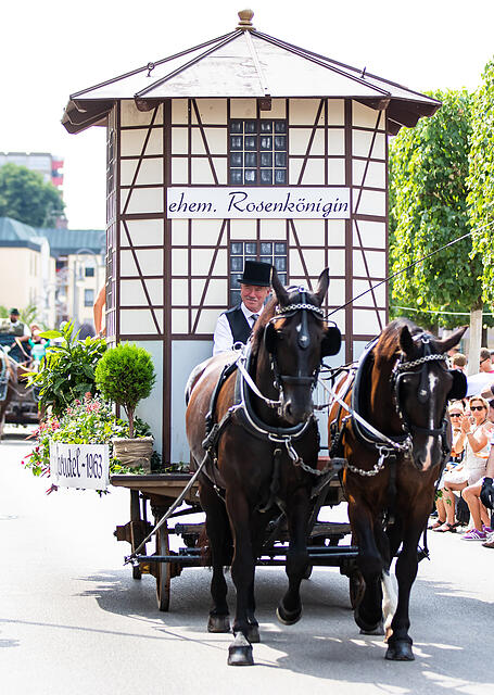 Rakoczy Fest Sonntag
