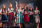 Weinfest Untereisenheim