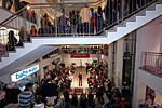 Main-Topmodel Finale 2009