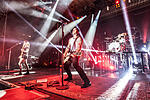 Broilers