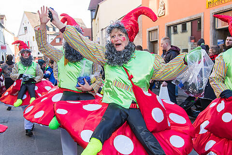 Faschingszug Heidingsfeld Teil 2