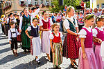 Festzug Volkacher Weinfest