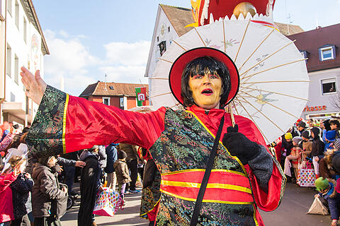 Faschingszug Heidingsfeld Teil 2